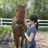 Cowgirl et moi en 2012 - Photo par l'auteure