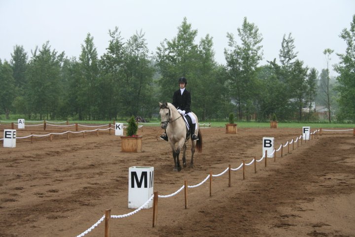 La carrière de dressage ou d'entraînement du cheval