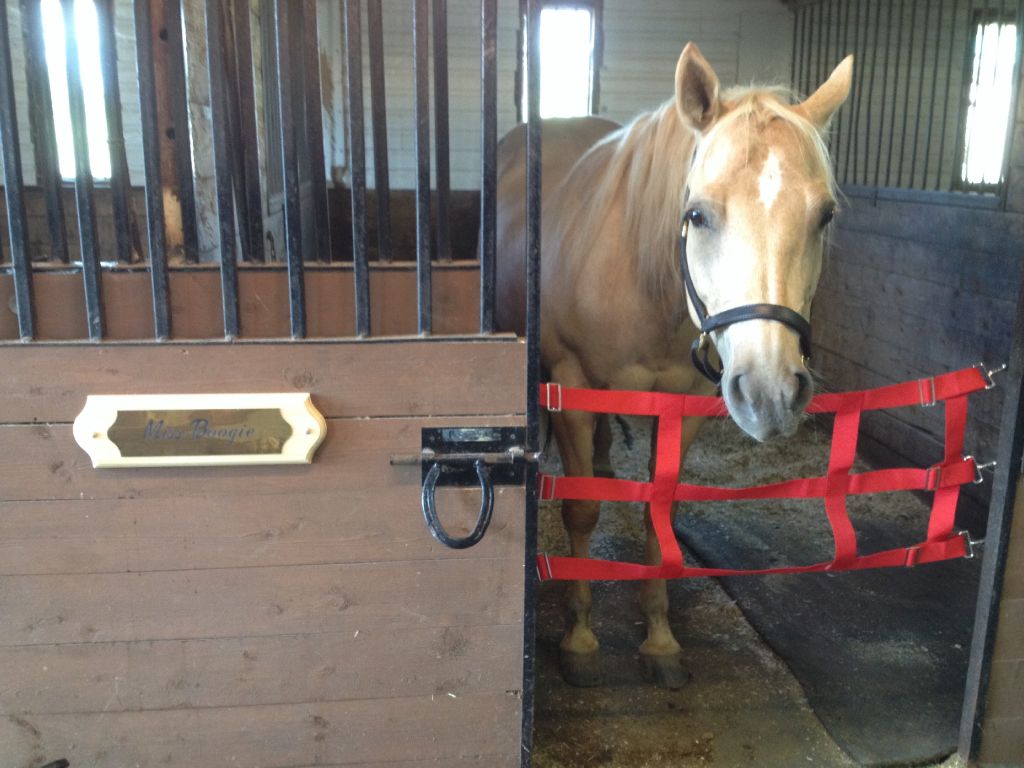 La stalle (ou box) du cheval au repos